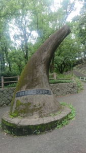 変な形の切り株