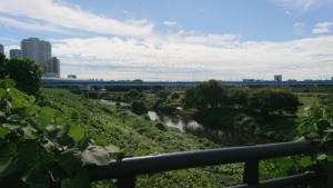 二子玉手前の橋